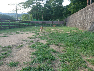 f:id:roukenhome-ann:20190812181714j:plain f:id:roukenhome-ann:20190812181714j:plain