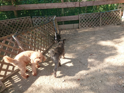 f:id:roukenhome-ann:20190812181742j:plain f:id:roukenhome-ann:20190812181742j:plain