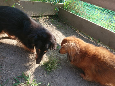 f:id:roukenhome-ann:20190812181748j:plain f:id:roukenhome-ann:20190812181748j:plain
