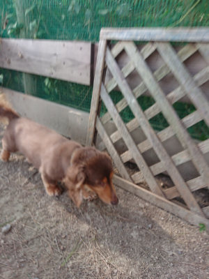 f:id:roukenhome-ann:20190812181754j:plain f:id:roukenhome-ann:20190812181754j:plain