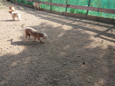 f:id:roukenhome-ann:20190812181803j:plain f:id:roukenhome-ann:20190812181803j:plain
