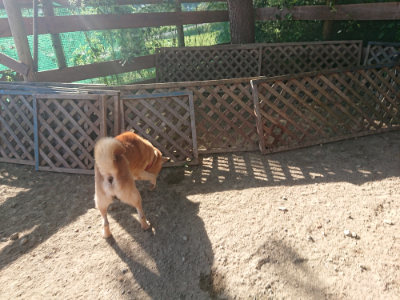 f:id:roukenhome-ann:20190812181828j:plain f:id:roukenhome-ann:20190812181828j:plain
