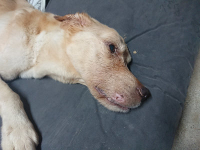 f:id:roukenhome-ann:20190812181840j:plain f:id:roukenhome-ann:20190812181840j:plain