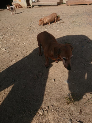 f:id:roukenhome-ann:20190812181848j:plain f:id:roukenhome-ann:20190812181848j:plain