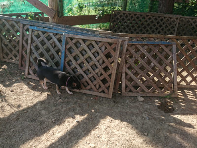 f:id:roukenhome-ann:20190812181943j:plain f:id:roukenhome-ann:20190812181943j:plain