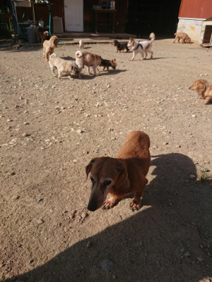 f:id:roukenhome-ann:20190812181950j:plain f:id:roukenhome-ann:20190812181950j:plain