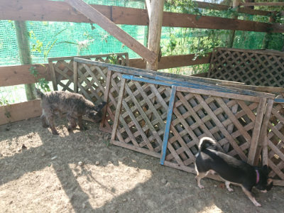 f:id:roukenhome-ann:20190812182015j:plain f:id:roukenhome-ann:20190812182015j:plain