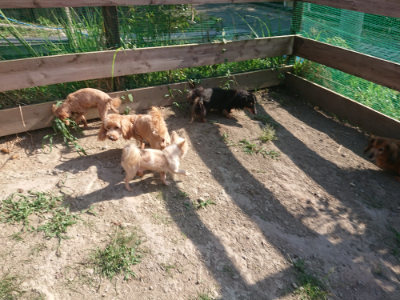 f:id:roukenhome-ann:20190812182025j:plain f:id:roukenhome-ann:20190812182025j:plain