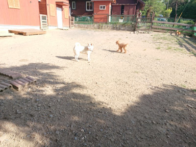 f:id:roukenhome-ann:20190812182102j:plain f:id:roukenhome-ann:20190812182102j:plain