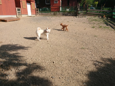 f:id:roukenhome-ann:20190812182108j:plain f:id:roukenhome-ann:20190812182108j:plain
