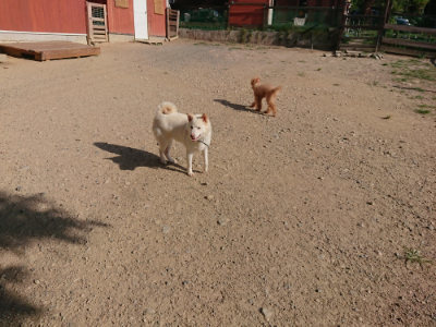 f:id:roukenhome-ann:20190812182120j:plain f:id:roukenhome-ann:20190812182120j:plain
