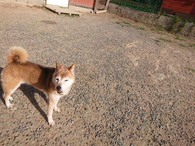 f:id:roukenhome-ann:20190812182129j:plain f:id:roukenhome-ann:20190812182129j:plain