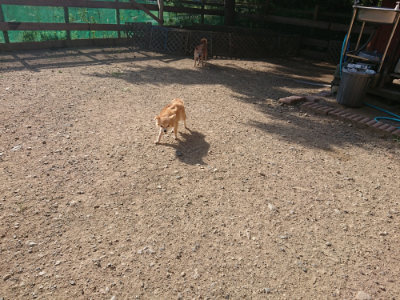f:id:roukenhome-ann:20190812182158j:plain f:id:roukenhome-ann:20190812182158j:plain