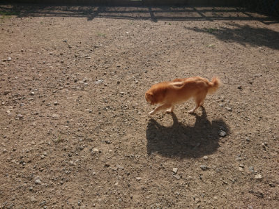 f:id:roukenhome-ann:20190812182228j:plain f:id:roukenhome-ann:20190812182228j:plain
