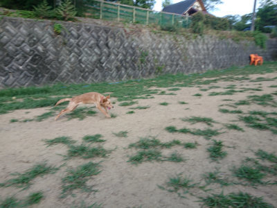 f:id:roukenhome-ann:20190812182233j:plain f:id:roukenhome-ann:20190812182233j:plain