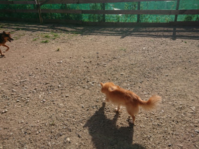 f:id:roukenhome-ann:20190812182247j:plain f:id:roukenhome-ann:20190812182247j:plain