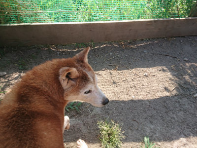 f:id:roukenhome-ann:20190812184055j:plain f:id:roukenhome-ann:20190812184055j:plain