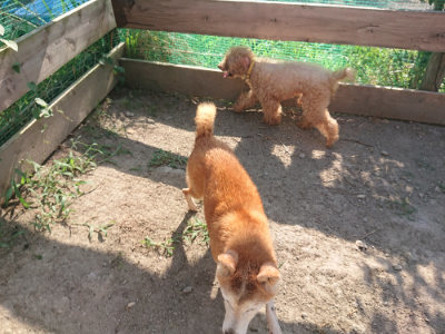 f:id:roukenhome-ann:20190812184119j:plain f:id:roukenhome-ann:20190812184119j:plain