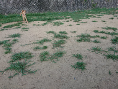 f:id:roukenhome-ann:20190812184238j:plain f:id:roukenhome-ann:20190812184238j:plain