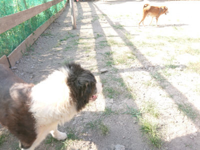 f:id:roukenhome-ann:20190812184257j:plain f:id:roukenhome-ann:20190812184257j:plain