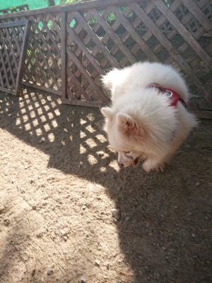 f:id:roukenhome-ann:20190812184319j:plain f:id:roukenhome-ann:20190812184319j:plain