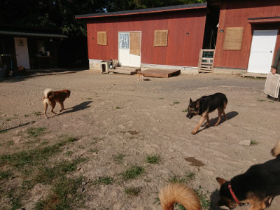 f:id:roukenhome-ann:20190812184411j:plain f:id:roukenhome-ann:20190812184411j:plain