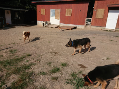 f:id:roukenhome-ann:20190812184417j:plain f:id:roukenhome-ann:20190812184417j:plain