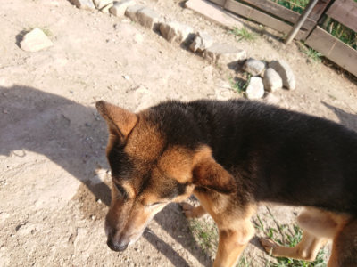 f:id:roukenhome-ann:20190812184444j:plain f:id:roukenhome-ann:20190812184444j:plain