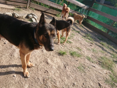 f:id:roukenhome-ann:20190812184543j:plain f:id:roukenhome-ann:20190812184543j:plain