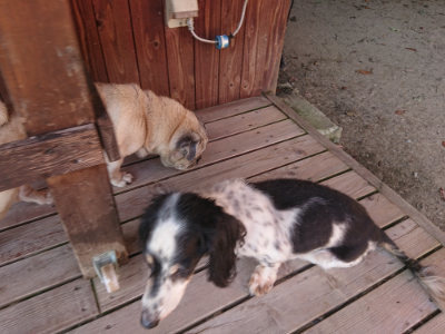 f:id:roukenhome-ann:20190812184602j:plain f:id:roukenhome-ann:20190812184602j:plain