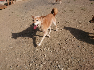 f:id:roukenhome-ann:20190812185343j:plain f:id:roukenhome-ann:20190812185343j:plain