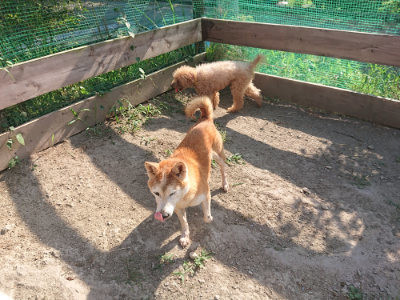 f:id:roukenhome-ann:20190812185412j:plain f:id:roukenhome-ann:20190812185412j:plain