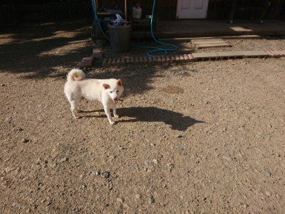 f:id:roukenhome-ann:20190812185438j:plain f:id:roukenhome-ann:20190812185438j:plain