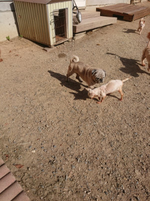 f:id:roukenhome-ann:20190812185502j:plain f:id:roukenhome-ann:20190812185502j:plain