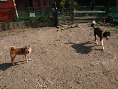 f:id:roukenhome-ann:20190812185536j:plain f:id:roukenhome-ann:20190812185536j:plain