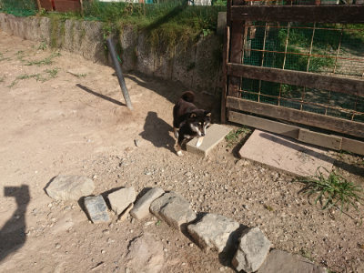 f:id:roukenhome-ann:20190812185831j:plain f:id:roukenhome-ann:20190812185831j:plain