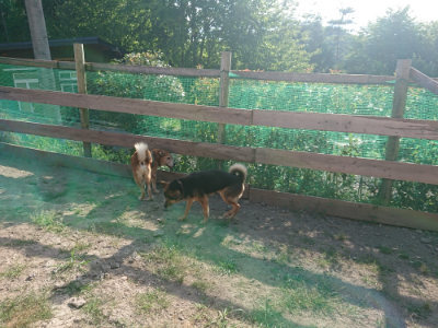 f:id:roukenhome-ann:20190812190034j:plain f:id:roukenhome-ann:20190812190034j:plain