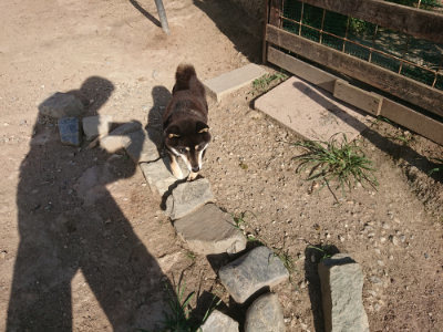 f:id:roukenhome-ann:20190812190103j:plain f:id:roukenhome-ann:20190812190103j:plain
