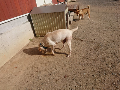 f:id:roukenhome-ann:20190812190108j:plain f:id:roukenhome-ann:20190812190108j:plain