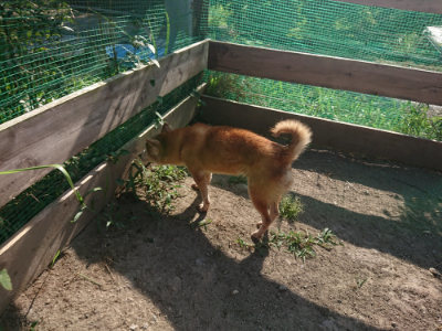 f:id:roukenhome-ann:20190812190131j:plain f:id:roukenhome-ann:20190812190131j:plain