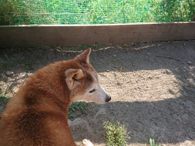f:id:roukenhome-ann:20190812190237j:plain f:id:roukenhome-ann:20190812190237j:plain