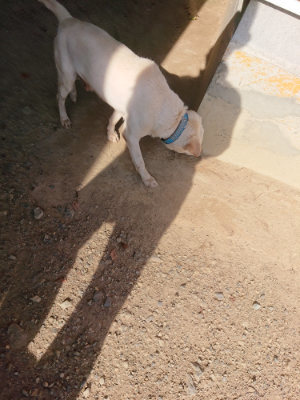f:id:roukenhome-ann:20190812190252j:plain f:id:roukenhome-ann:20190812190252j:plain