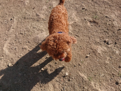 f:id:roukenhome-ann:20190812190321j:plain f:id:roukenhome-ann:20190812190321j:plain