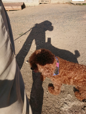 f:id:roukenhome-ann:20190812190335j:plain f:id:roukenhome-ann:20190812190335j:plain