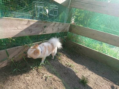 f:id:roukenhome-ann:20190812190404j:plain f:id:roukenhome-ann:20190812190404j:plain
