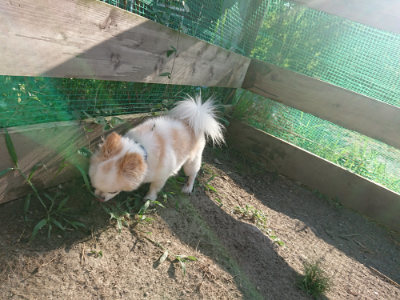 f:id:roukenhome-ann:20190812190410j:plain f:id:roukenhome-ann:20190812190410j:plain