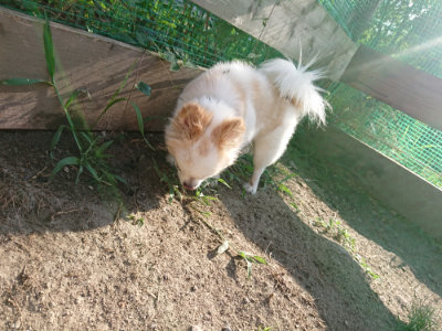 f:id:roukenhome-ann:20190812190418j:plain f:id:roukenhome-ann:20190812190418j:plain
