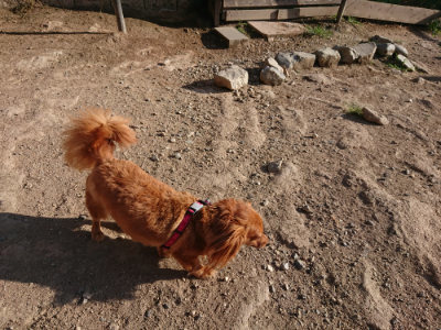 f:id:roukenhome-ann:20190812190441j:plain f:id:roukenhome-ann:20190812190441j:plain