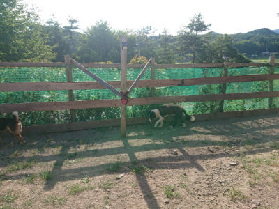 f:id:roukenhome-ann:20190812190832j:plain f:id:roukenhome-ann:20190812190832j:plain