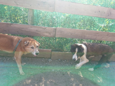 f:id:roukenhome-ann:20190812190911j:plain f:id:roukenhome-ann:20190812190911j:plain